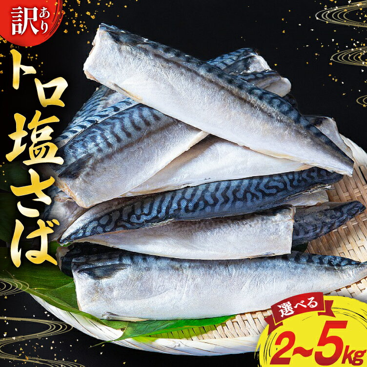 訳あり 塩サバ フィレ 【選べる内容量】2kg/3kg/5kg [足利本店 宮城県 気仙沼市 20565497] 魚 海鮮 さば サバ さば 鯖 サバフィレ 鯖フィレ 切り身 冷凍 訳アリ わけあり トロサバ 減塩 とろさば 無添加 人気