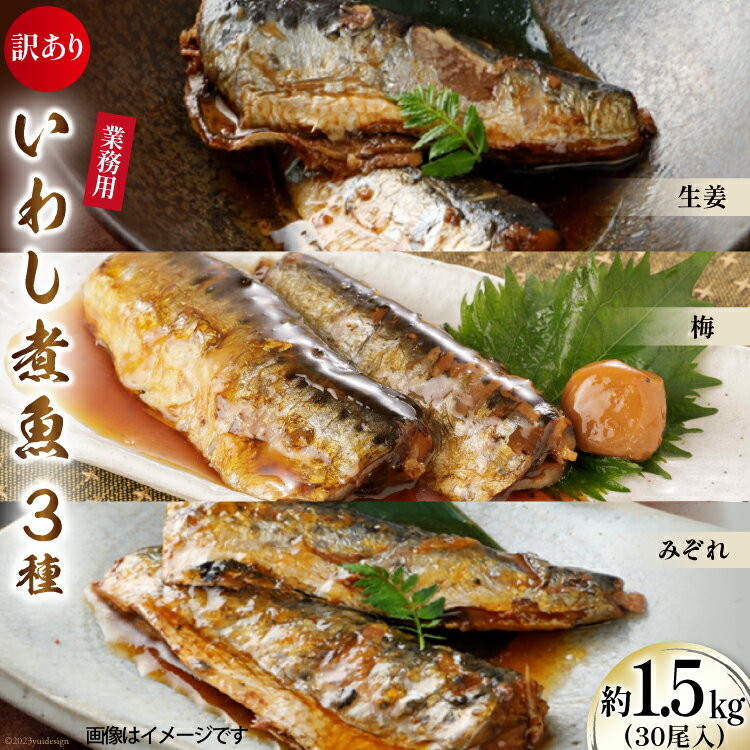 訳あり 業務用 いわし煮魚 3種 ×10尾 計30尾入 約1.5kg 簡易包装 [カネダイ 宮城県 気仙沼市 20565562] 魚 魚介 煮魚 国産 生姜煮 梅肉煮 みぞれ煮 おかず 焼き魚 簡単 時短 訳アリ 冷凍