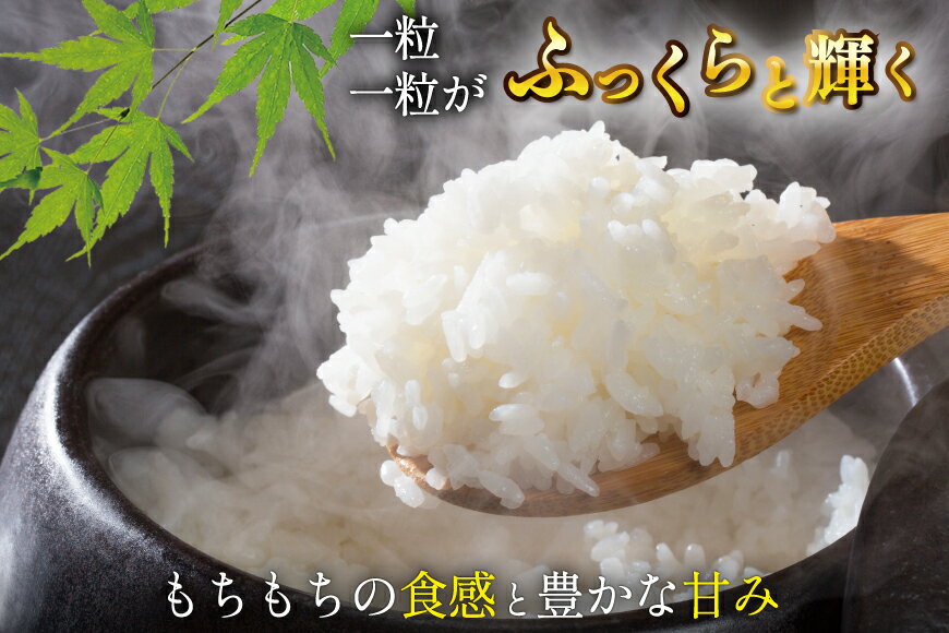 【ふるさと納税】 米 宮城県産 とまたんのひとめぼれ 【選べる内容量】 [サンフレッシュ小泉農園 宮城県 気仙沼市 20565679] ひとめぼれ ブランド米 白米 精米 ご飯 ごはん コメ こめ お米 小分け 家庭用 3kg 5kg 10kg - 画像2
