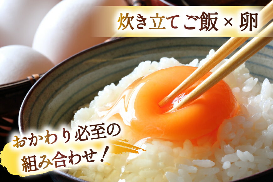 【ふるさと納税】 米 宮城県産 とまたんのひとめぼれ 【選べる内容量】 [サンフレッシュ小泉農園 宮城県 気仙沼市 20565679] ひとめぼれ ブランド米 白米 精米 ご飯 ごはん コメ こめ お米 小分け 家庭用 3kg 5kg 10kg - 画像3