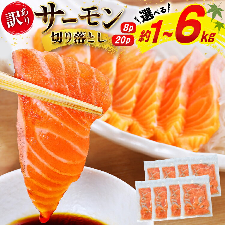 訳あり 無添加 サーモン 切り落とし おさしみ用 【選べる内容量】1kg/2.5kg/6kg 個包装125g [足利本店 宮城県 気仙沼市 20565700] 定期 定期便 小分け 魚 魚介類 鮭 お刺し身 刺し身 刺身 生 生食 個包装 チリ銀鮭 銀鮭 海鮮 海鮮丼 魚介