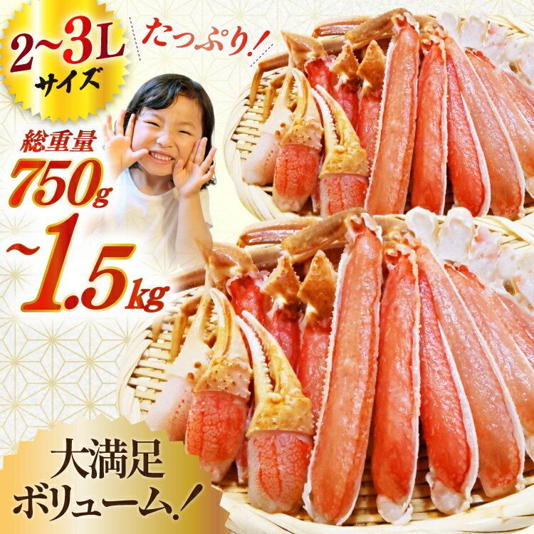 【ふるさと納税】 訳あり 【選べる内容量】カット済み 生 ずわいがに むき身 セット 総重量750g/1.5kg (正味重量600g/1.2kg) 2-3Lサイズ [カネダイ 宮城県 気仙沼市 20565777] かに カニ ズワイガニ ずわい カット ズワイ 蟹 カット生ずわい ◎ - 画像2