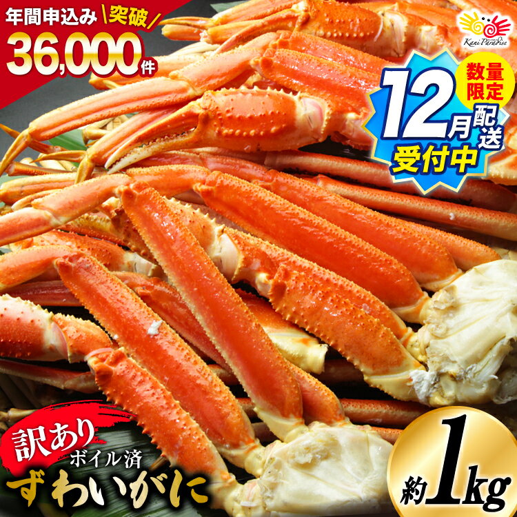 【12月配送受付中 数量限定】 訳あり 【選べる配送時期】 ボイル ずわいがに 肩付き脚 総重量1kg [カネダイ 宮城県 気仙沼市 20565778] カニ かに 魚介類 ズワイガニ ずわい蟹 ズワイ蟹 ずわい ズワイ 蟹 カニ カニ脚 蟹脚 不揃い 規格外 海鮮 ご褒美