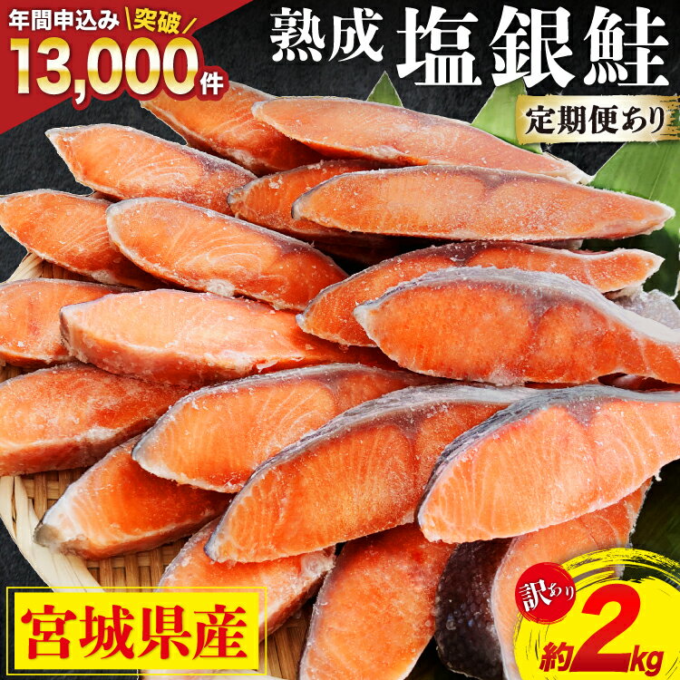 訳あり 宮城県産 熟成 銀鮭 切身 約2kg【選べる定期便】 [宮城東洋 宮城県 気仙沼市 20562687] 鮭 海鮮 魚介類 国産 さけ 鮭 甘口 サケ 鮭切身 シャケ 切り身 冷凍 おかず 弁当 支援 事業者支援 サーモン 魚 銀鮭切り身 定期便