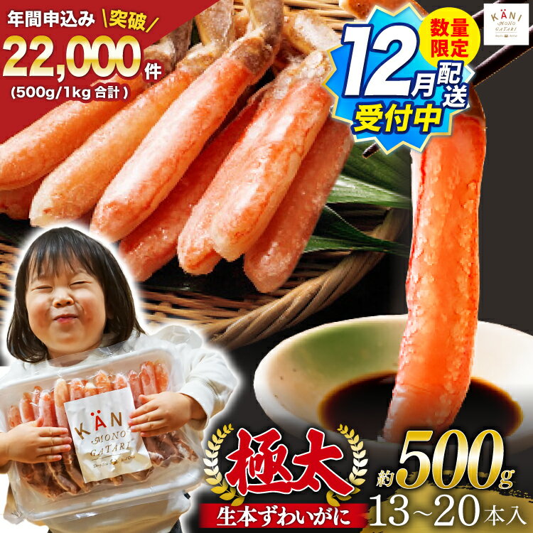 【12月配送受付中 数量限定】【選べる配送時期】 極太 生本ずわいがに 棒肉ポーション 約500g 13本～20本入り 殻剥き不要 ! 脚肉のみ ! [カネダイ 宮城県 気仙沼市 20565783] 蟹 かに カニ ずわいがに ズワイガニ ずわい蟹 ズワイ蟹 カニ脚 蟹脚 カニ棒肉