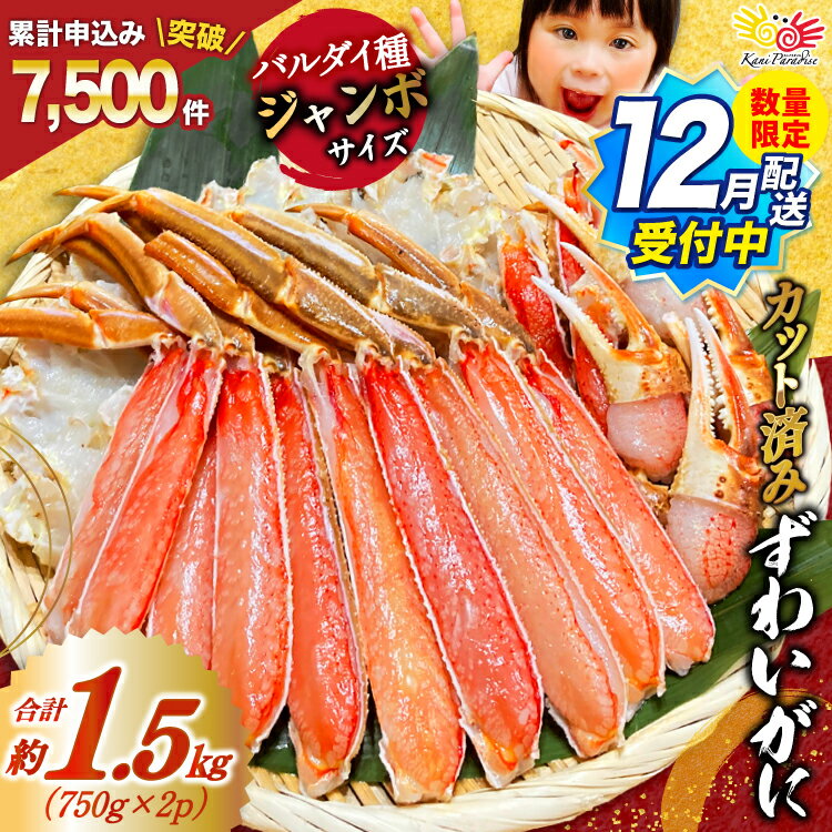 【12月配送受付中 数量限定】【選べる配送時期】 カット済 ずわいがに むき身セット 総重量1.5kg(750g×2p) かにしゃぶ かに鍋 正味重量1.2kg [カネダイ 宮城県 気仙沼市 20565785] かに カニ ずわいがに ずわい 蟹 棒 魚介 海鮮 ポーション