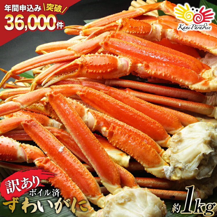 訳あり ボイル ずわいがに 肩付き脚 総重量1kg [カネダイ 宮城県 気仙沼市 20565778] カニ かに 魚介類 ズワイガニ ずわい蟹 ズワイ蟹 ずわい ズワイ 蟹 カニ カニ脚 蟹脚 不揃い 規格外 海鮮 ご褒美