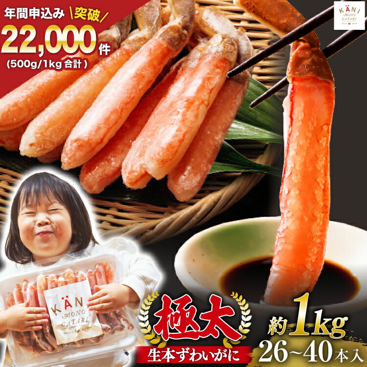 極太 生本ずわいがに 棒肉ポーション 約1kg 26本〜40本入り 殻剥き不要 ! 脚肉のみ ! [カネダイ 宮城県 気仙沼市 20565782] 蟹 かに カニ ずわいがに ズワイガニ ずわい蟹 ズワイ蟹 カニ脚 蟹脚 カニ棒肉