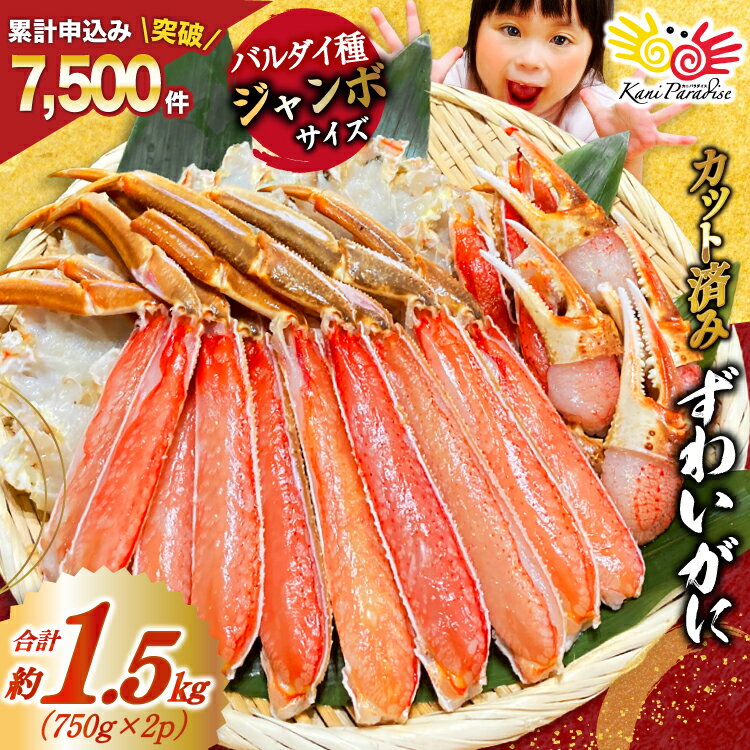 カット済 ずわいがに むき身セット 総重量1.5kg(750g×2p) かにしゃぶ かに鍋 正味重量1.2kg [カネダイ 宮城県 気仙沼市 20565785] かに カニ ずわいがに ずわい 蟹 棒 魚介 海鮮 ポーション
