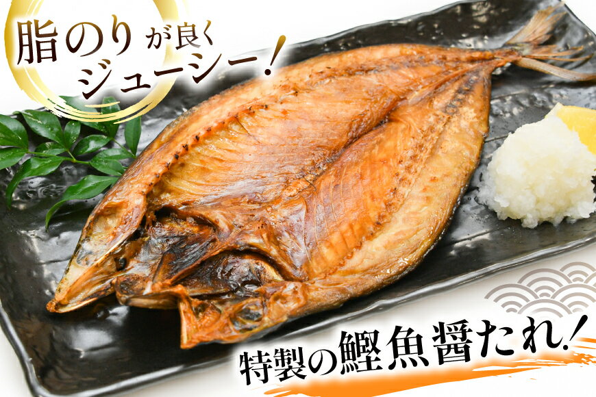【ふるさと納税】 厳選魚種 干物 セット 約3kg 30枚入 [カネダイ 宮城県 気仙沼市 20564364] 魚 魚介類 ひもの 個包装 チダイ 飛魚 トビウオ 鯖 さば サバ 真鱈 ウマヅラハギ アジ イワシ おかず 詰め合わせ - 画像3