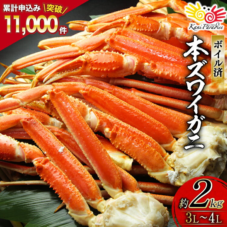 ボイル済み 本ずわいがに 脚 3L〜4L 総重量 2kg [カネダイ 宮城県 気仙沼市 20564764] カニ 蟹 ズワイガニ ずわい蟹 ズワイ蟹 ずわい ズワイ カニ脚 蟹脚 足 ボイル