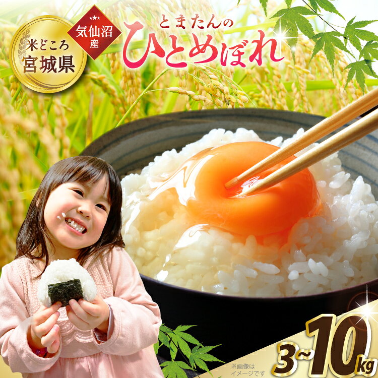 米 宮城県産 とまたんのひとめぼれ 【選べる内容量】 [サンフレッシュ小泉農園 宮城県 気仙沼市 20565679] ひとめぼれ ブランド米 白米 精米 ご飯 ごはん コメ こめ お米 小分け 家庭用 3kg 5kg 10kg