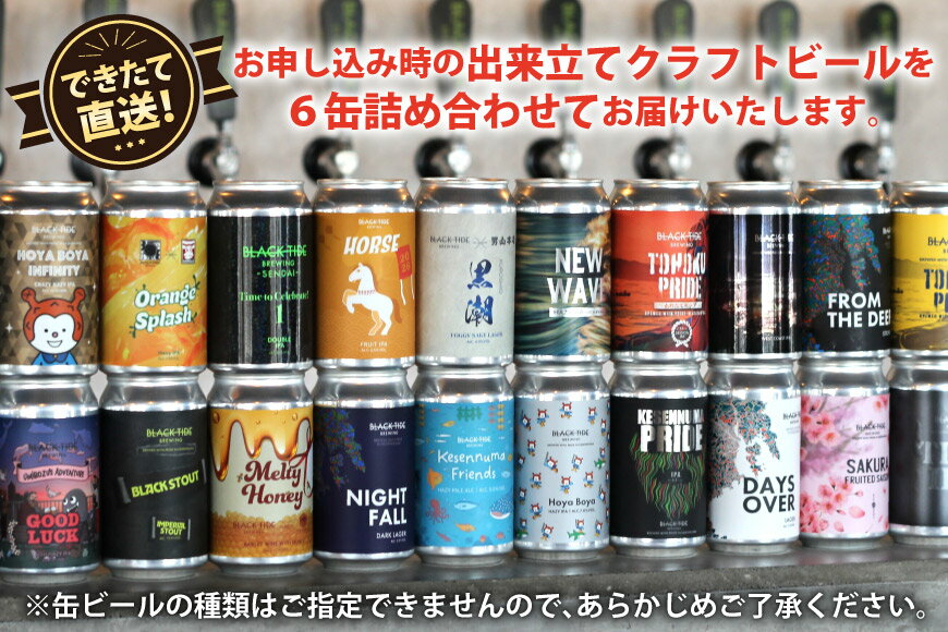 【ふるさと納税】 3回 定期便 BTB クラフトビール 6缶 セット【総計18缶】 [BLACK TIDE BREWING 宮城県 気仙沼市 20565981] 酒 ビール びーる 飲み比べ クラフト お酒 地ビール - 画像2
