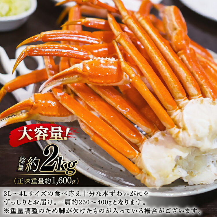 【ふるさと納税】 ボイル済み 本ずわいがに 脚 3L〜4L 総重量 2kg [カネダイ 宮城県 気仙沼市 20564764] カニ 蟹 ズワイガニ ずわい蟹 ズワイ蟹 ずわい ズワイ カニ脚 蟹脚 足 ボイル - 画像3