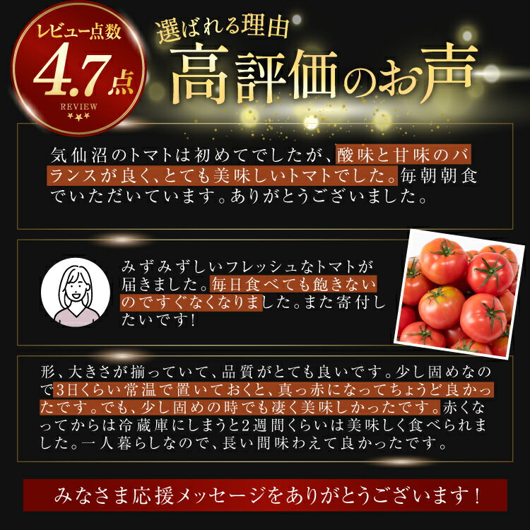 【ふるさと納税】 【期間限定発送】波乗り トマト とまたん 4kg (20個入) [サンフレッシュ小泉農園 宮城県 気仙沼市 20564139] 野菜 とまと 国産 夏野菜 やさい さっぱり サラダ サッパリ 新鮮 甘い カプレーゼ リコピン - 画像3