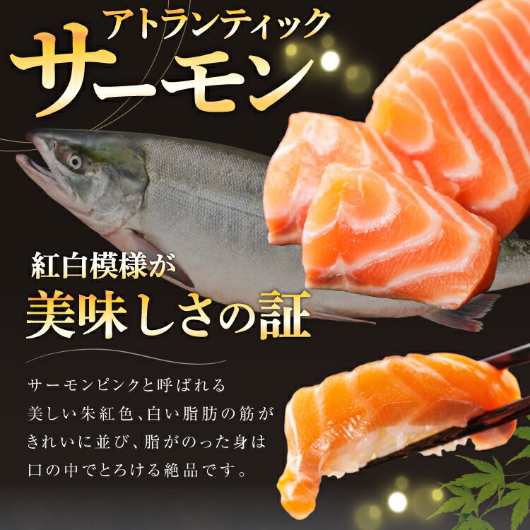 【ふるさと納税】 ノルウェー産 アトランティックサーモン 【内容量が選べる】[カネダイ 宮城県 気仙沼市 20564320] 魚 魚介類 サーモン 刺身 生食 生 アトランティック アトラン 小分け 冷凍 鮭 さけ 訳あり ノルウェー 1kg 2kg - 画像3