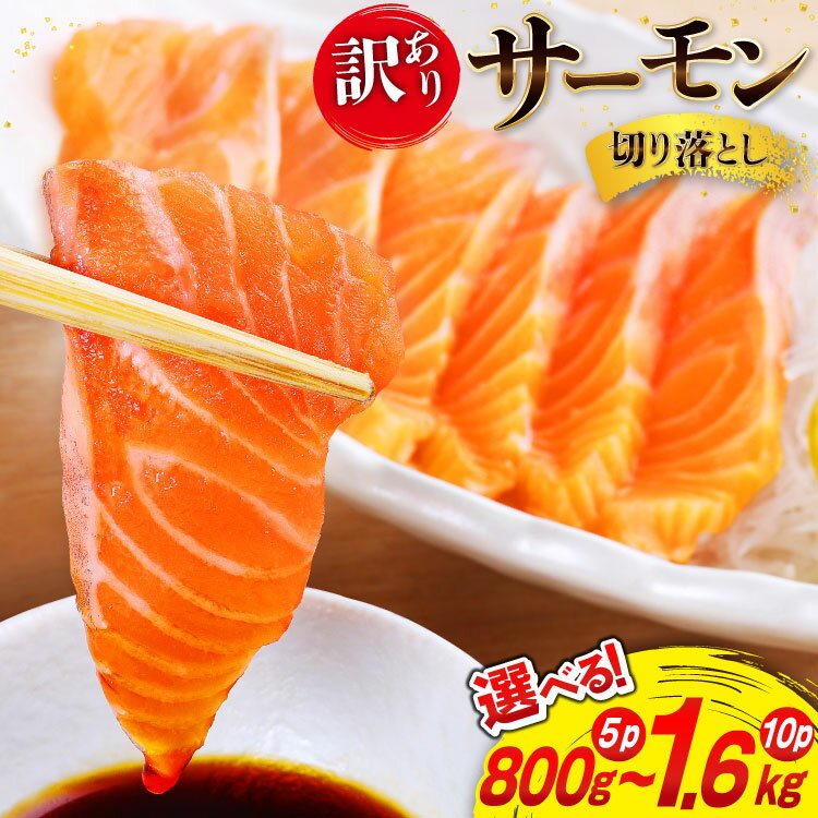 訳あり 無添加 サーモン 切り落とし おさしみ用 【選べる内容量】800g (5p) / 1.6kg(10p) 小分けサイズ160g[足利本店 宮城県 気仙沼市 20565684] 鮭 刺し身 刺身 個包装 銀鮭 海鮮 海鮮丼 魚介 訳アリ
