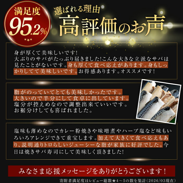 【ふるさと納税】 訳あり 塩サバ フィレ 【選べる内容量】1.5kg/3kg/5kg/3kg 12ヶ月 定期便 [足利本店 宮城県 気仙沼市 20565964] 魚 海鮮 さば サバ さば 鯖 サバフィレ 鯖フィレ 切り身 冷凍 訳アリ わけあり トロサバ 減塩 とろさば 無添加 人気 - 画像3