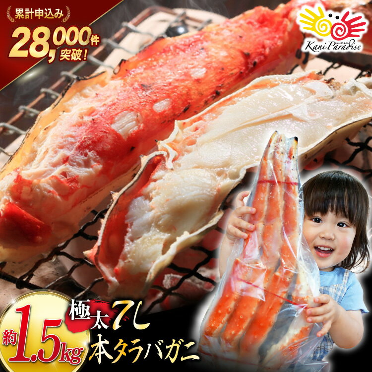 本 タラバガニ 脚 ボイル済 約1.5kg 極太7Lサイズ [カネダイ 宮城県 気仙沼市 20564326] カニ かに 蟹 たらばがに たらば蟹 タラバ蟹 たらば タラバ ボイル
