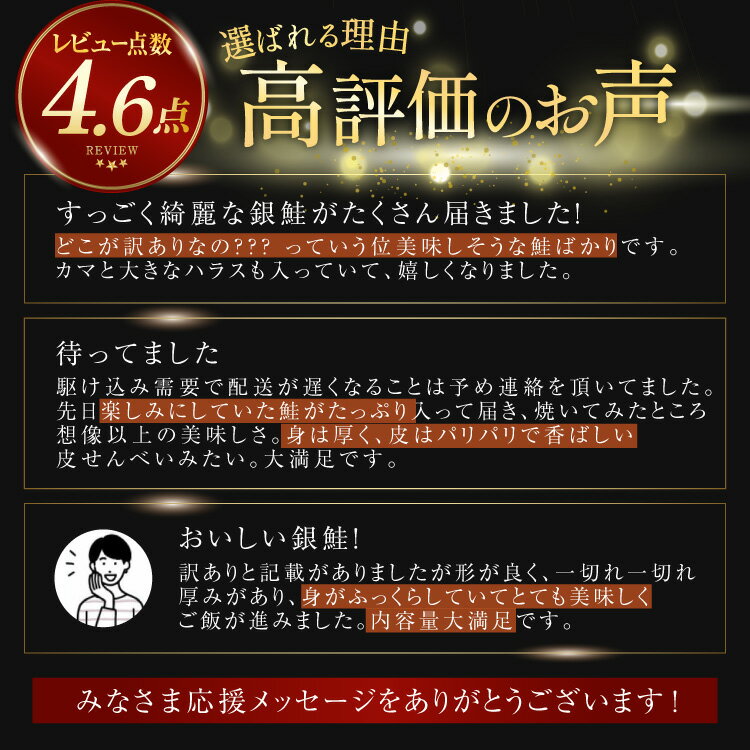 【ふるさと納税】 鮭 訳あり 銀鮭 切身 【内容量が選べる】 [宮城東洋 宮城県 気仙沼市 20564665] 魚介類 海鮮 訳アリ 規格外 不揃い さけ サケ 鮭切身 シャケ 切り身 冷凍 家庭用 おかず 弁当 支援 サーモン 銀鮭切り身 魚 わけあり 2kg 3kg 定期便 - 画像3