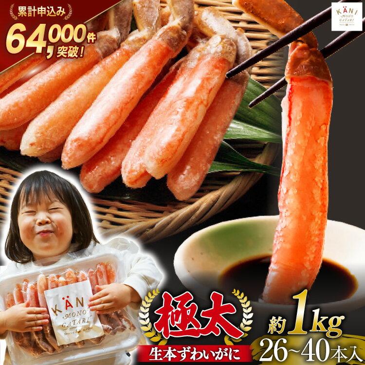 極太 生本ずわいがに 棒肉ポーション 約1kg 26本〜40本入り 殻剥き不要 ! 脚肉のみ ! [カネダイ 宮城県 気仙沼市 20565782] 蟹 かに カニ ずわいがに ズワイガニ ずわい蟹 ズワイ蟹 カニ脚 蟹脚 カニ棒肉