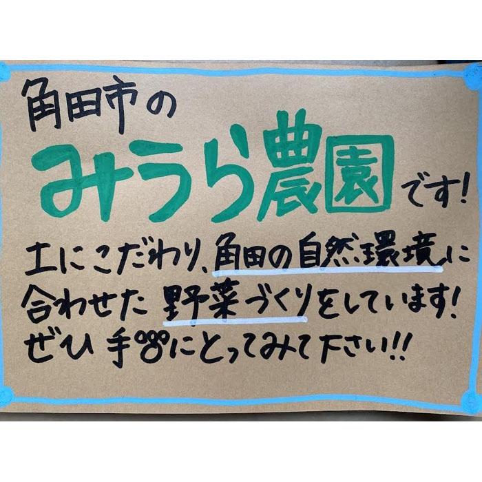 【ふるさと納税】【2026年発送分先行予約】みうら農園 季節の野菜セット（夏野菜）【2026年6月中旬以降順次】 | 野菜 やさい 食品 人気 おすすめ 送料無料 - 画像2