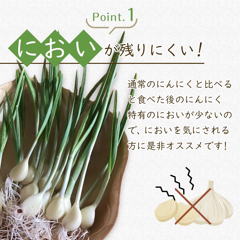 【ふるさと納税】スプラウトにんにく 8片　国産ホワイト六片使用、無農薬、水耕栽培 | 野菜 やさい 食品 人気 おすすめ 送料無料 - 画像3