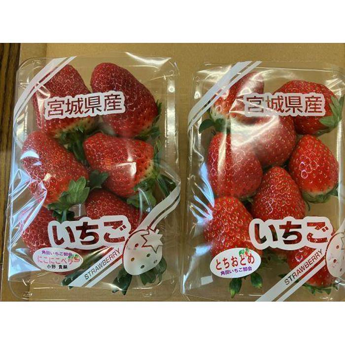 【ふるさと納税】【先行予約　JAみやぎ仙南】【容量選択可能】宮城県角田市産いちご　にこにこベリー・とちおとめ詰合せ　合計約500g or 1kg【2026年1月初旬より順次配送】 | イチゴ 苺 フルーツ 果物 くだもの 食品 人気 おすすめ 送料無料 サムネイル2