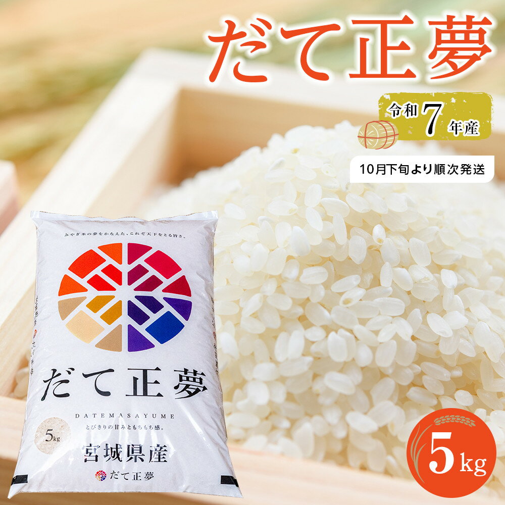 令和7年産 米 だて正夢 5kg | お米 白米 精米 こめ ご飯 ごはん おにぎり 国産 お取り寄せ 人気 おすすめ 食品 宮城