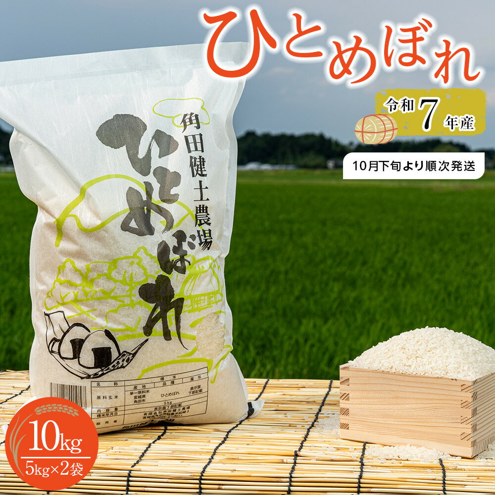 令和7年産 米 ひとめぼれ 10kg ( 5kg × 2袋 ) 新米 | お米 白米 精米 こめ ご飯 ごはん おにぎり ヒトメボレ 国産 お取り寄せ 人気 おすすめ 食品 宮城