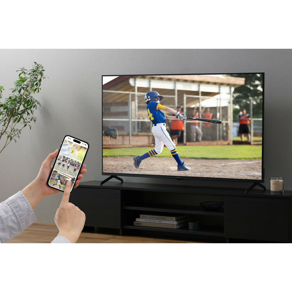 【ふるさと納税】50V型 4K Google TV　LT-50UGX-F1　ブラック サムネイル3