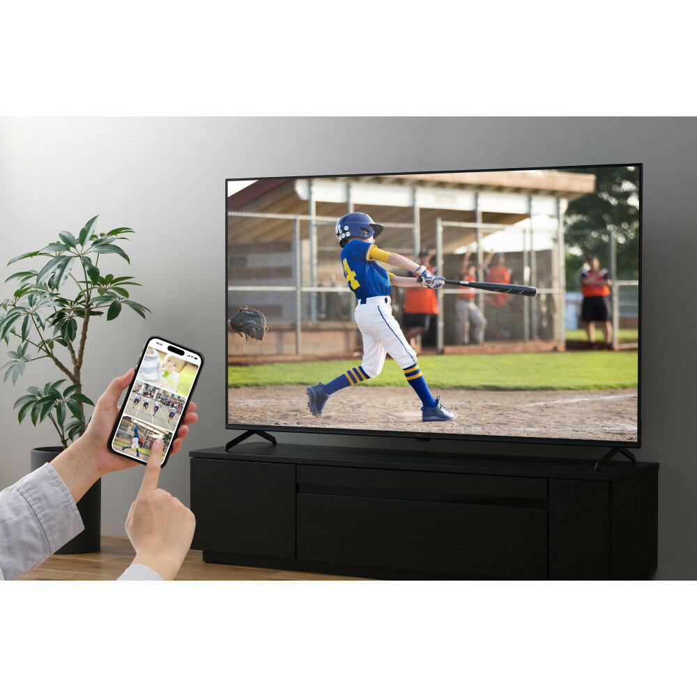【ふるさと納税】65V型 4K Google TV　LT-65UGX-F1　ブラック サムネイル3