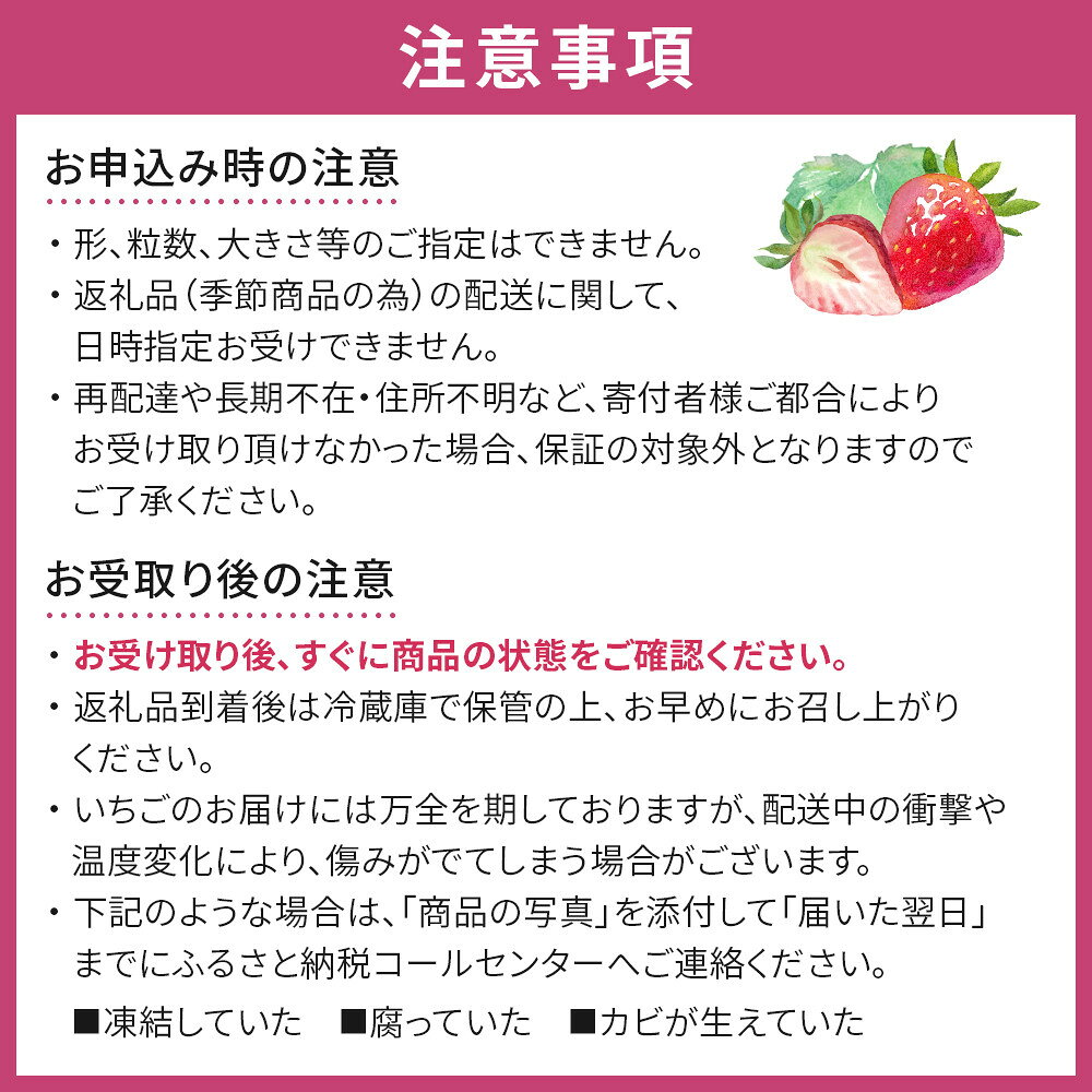 【ふるさと納税】【JAみやぎ仙南】【容量選択可能】宮城県角田市産いちご　にこにこベリー・とちおとめ詰合せ　合計約500g or 1kg | イチゴ 苺 フルーツ 果物 くだもの 食品 人気 おすすめ 送料無料 - 画像3