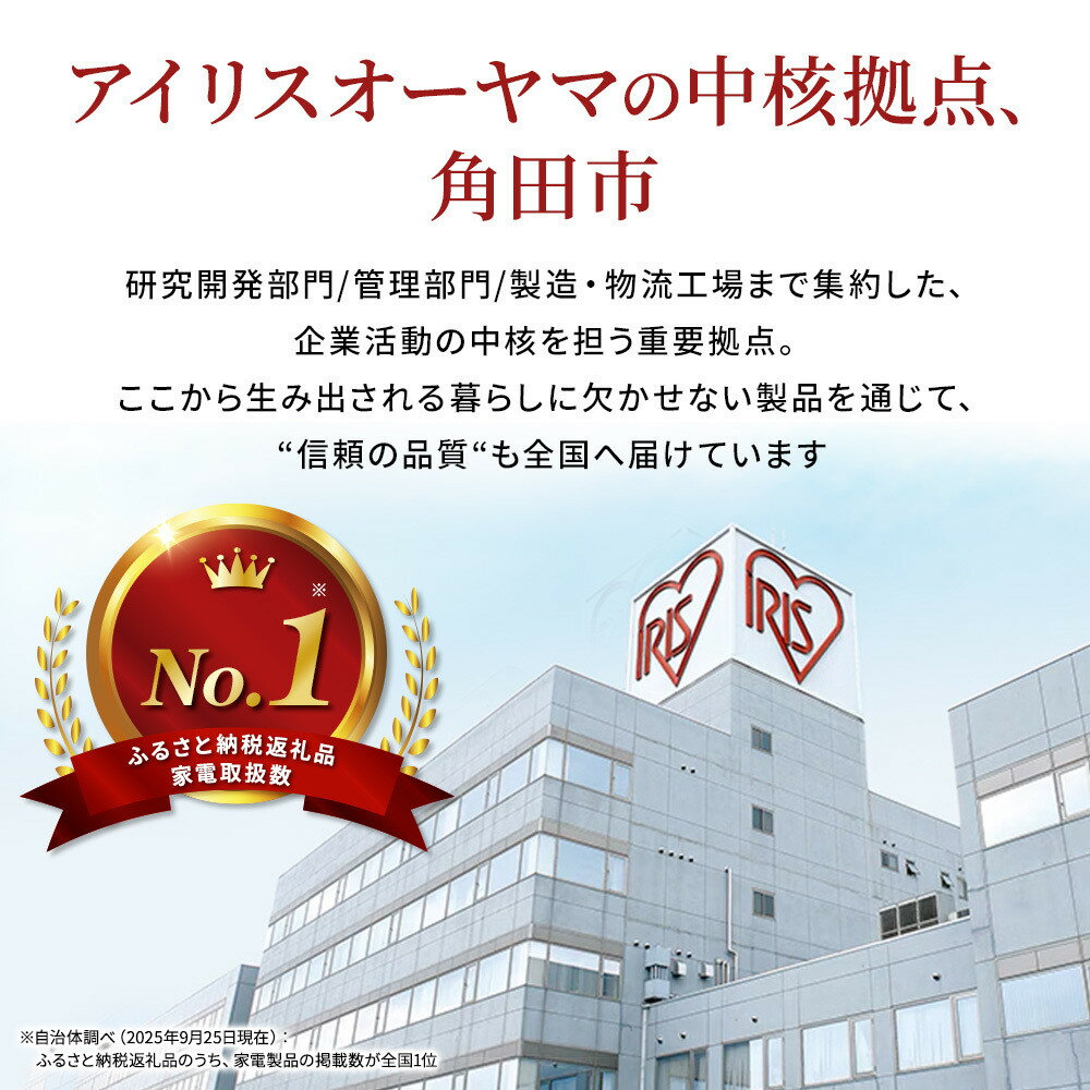 【ふるさと納税】乾電池 BIGCAPA PRIME 単3形 12本 LR6BP/12P 電池 乾電池 アルカリ乾電池 アルカリ電池 でんち アイリスオーヤマ | 新生活 - 画像3