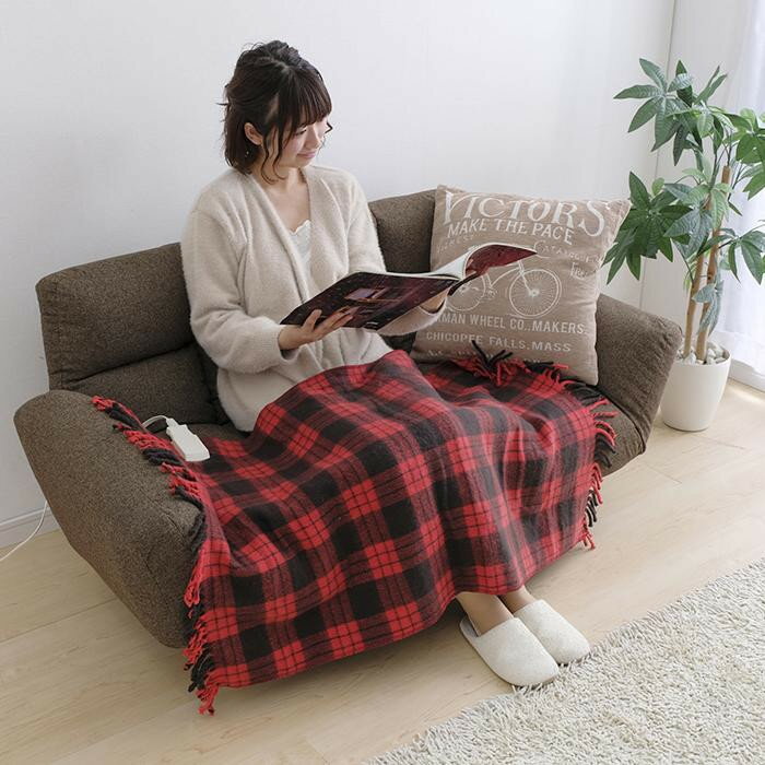 【ふるさと納税】 電気毛布 ひざ掛け アイリスオーヤマ 120×80cm レッド ひざ掛け電気毛布 室温センサー 丸洗い可能 洗える あったか 省エネ 無段階調節 ブランケット 膝掛け 温度調整 温度調節 節電 寒さ対策 暖房 電気 おすすめ 人気 アイリス EBK-1208-ZR - 画像3