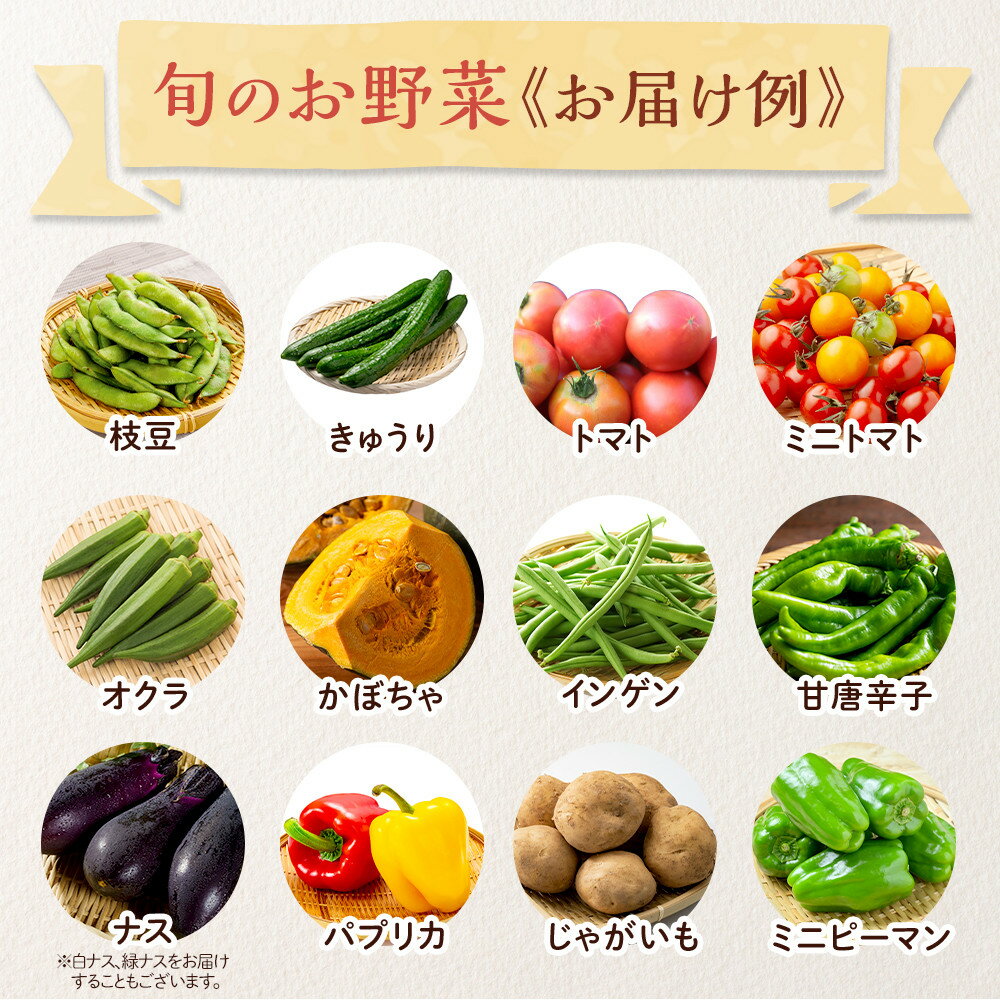 【ふるさと納税】【2026年発送分先行予約】みうら農園 季節の野菜セット（夏野菜）【2026年6月中旬以降順次】 | 野菜 やさい 食品 人気 おすすめ 送料無料 - 画像3