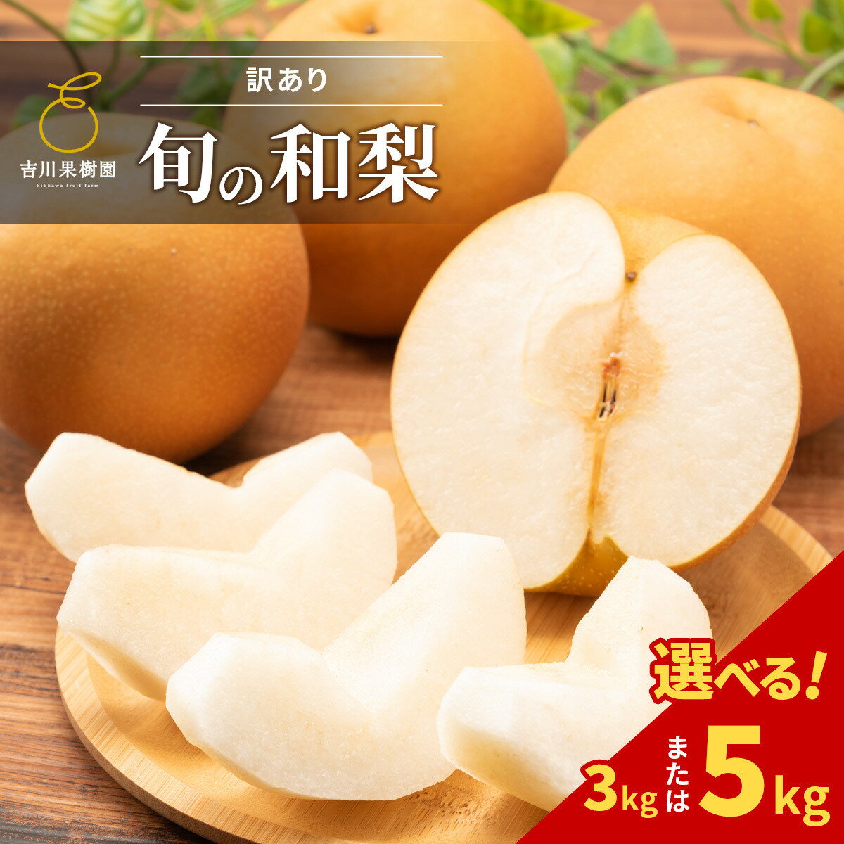 【先行予約（2026年発送分）】【訳あり】【容量選択可】旬の和梨　約3kg又は5kg【吉川果樹園】 | 梨 ナシ こだわりの梨 フルーツ 果物 旬の梨 宮城県角田市