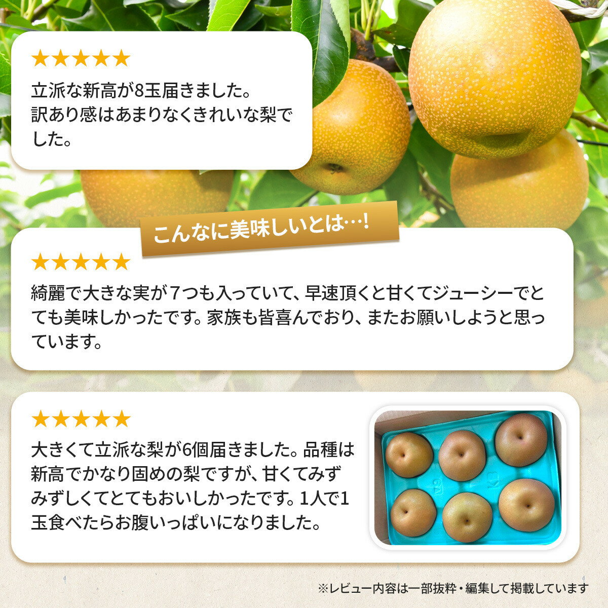 【ふるさと納税】【先行予約（2026年発送分）】【訳あり】【容量選択可】旬の和梨　約3kg又は5kg【吉川果樹園】 | 梨 ナシ こだわりの梨 フルーツ 果物 旬の梨 宮城県角田市 - 画像3