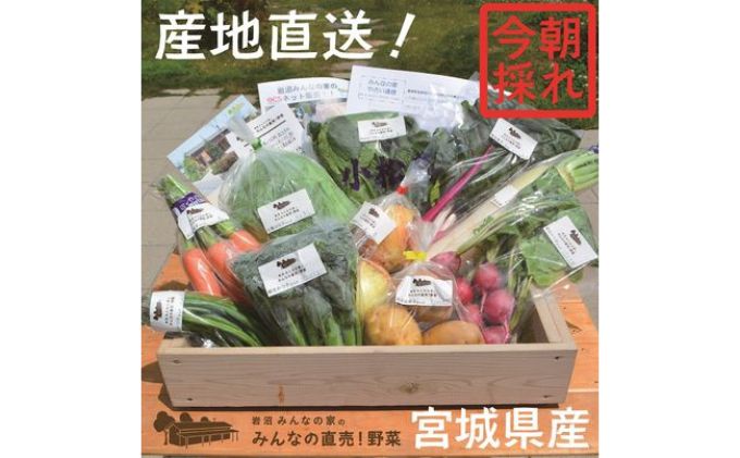 【ふるさと納税】野菜 宮城 朝どれ 野菜セット 8～10個 詰め合わせ 岩沼みんなの家 みんなの直売! 季節の野菜 旬の野菜 旬 東北 震災 支援 採れたて野菜を箱いっぱい詰め込んで 産地直送 送料無料 冷蔵 冷蔵配送 宮城県産 宮城県 岩沼市 - 画像2