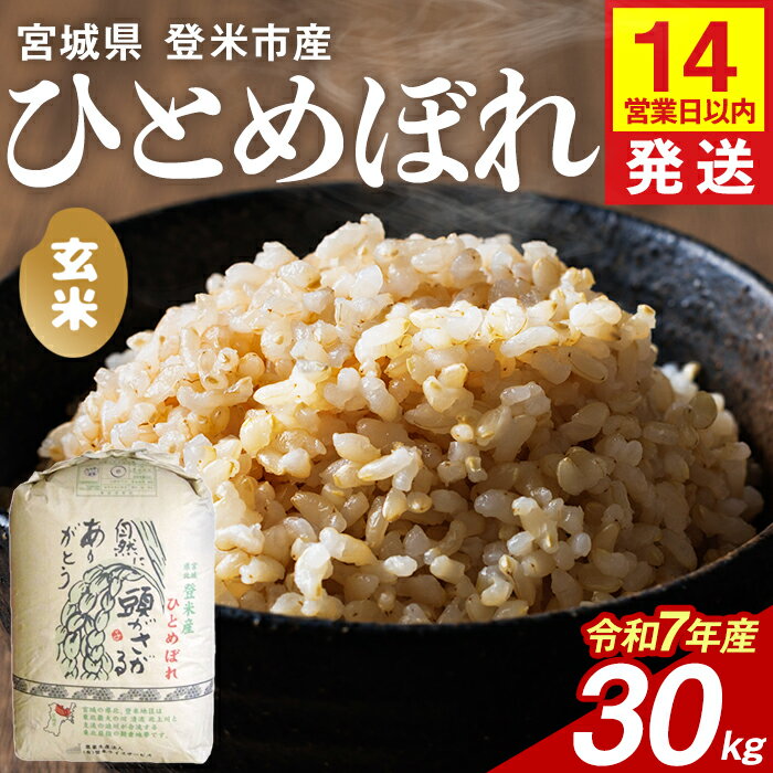 【14営業日以内に発送予定】≪令和7年産≫ ひとめぼれ 玄米 30kg 登米市産 お米 おこめ 米 コメ ご飯 ごはん おにぎり お弁当 【登米ライスサービス株式会社】tm142