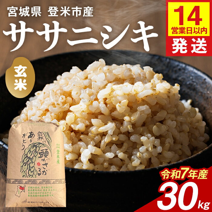 【14営業日以内に発送予定】≪令和7年産≫ ササニシキ 玄米 30kg 登米市産 お米 おこめ 米 コメ ささにしき ご飯 ごはん おにぎり お弁当 【登米ライスサービス株式会社】tm150