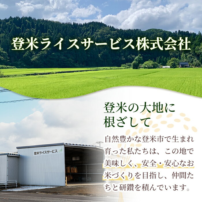 【ふるさと納税】【最短14営業日以内に発送予定】≪令和7年産≫ ササニシキ 精米 5〜10kg ＜定期便も可！＞ 登米市産 お米 おこめ 米 コメ 白米 ささにしき ご飯 ごはん おにぎり お弁当 5kg 10kg 定期便 頒布会 【登米ライスサービス株式会社】tm149 - 画像3