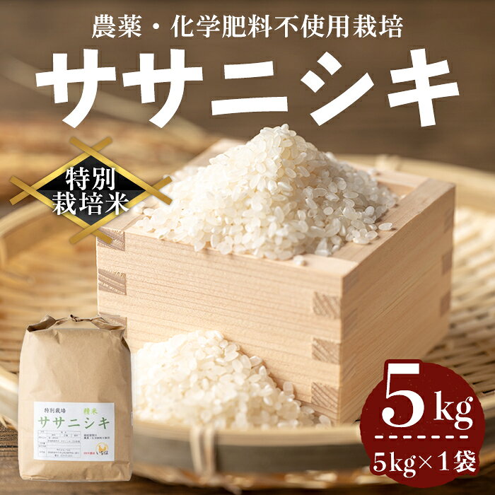 ≪令和7年産≫ 登米市産 ササニシキ 5kg×1袋 特別栽培米 農薬・化学肥料不使用 精米 お米 おこめ 米 コメ 白米 ご飯 ごはん おにぎり お弁当【株式会社いなほ】tm550