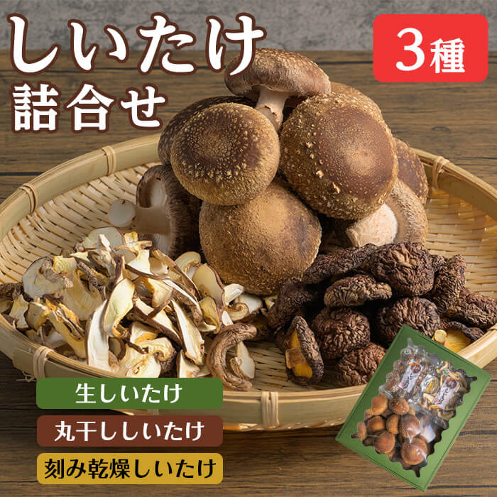 しいたけ詰め合わせセット 3種 (生・乾燥) 生しいたけ 丸干ししいたけ 刻み乾燥しいたけ 椎茸シイタケ きのこ キノコ ドライ 料理 茶碗蒸し 出汁 しいたけランド 【株式会社ワンズ】tm282