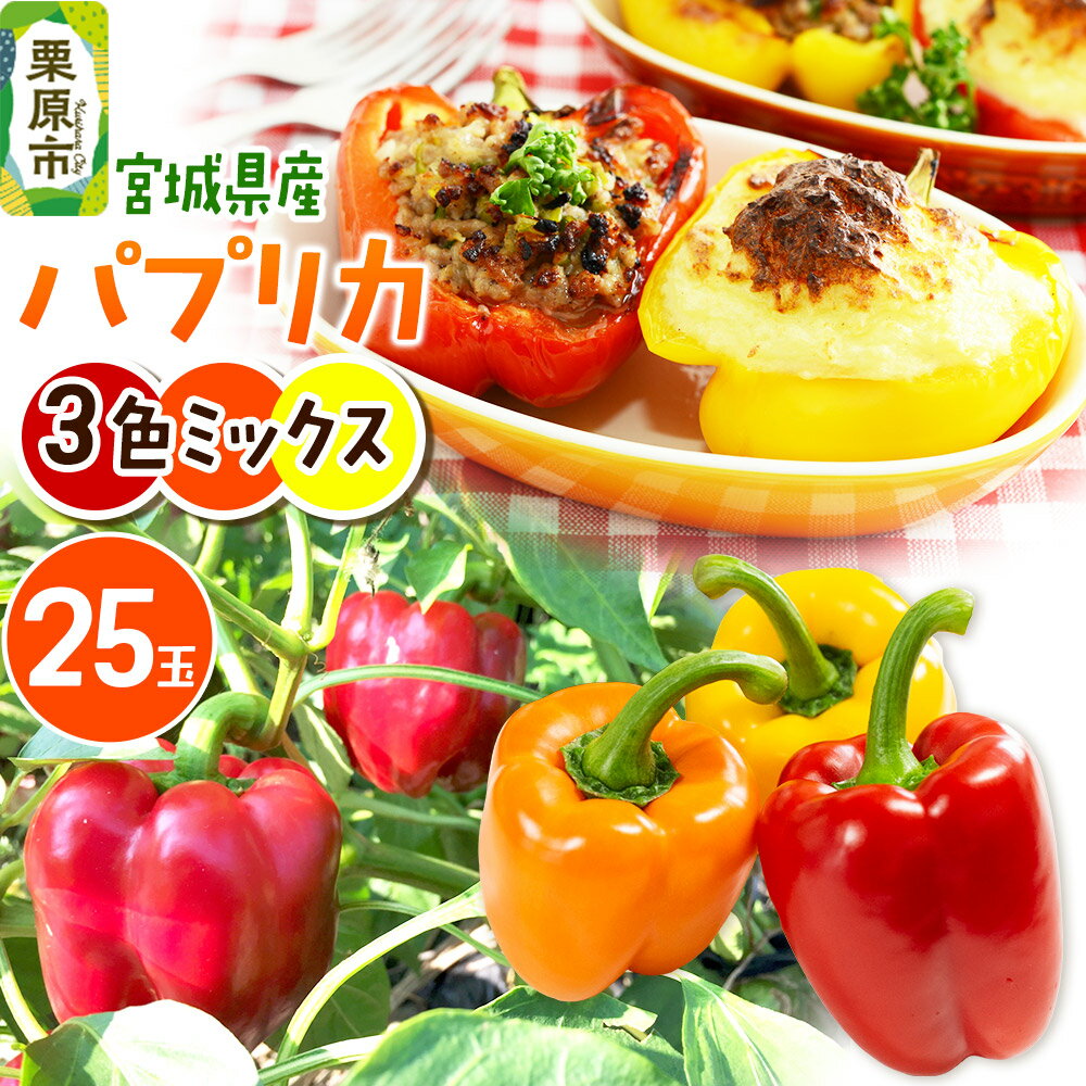 【新鮮・安全・安心　宮城県産パプリカ】3色MIX（赤黄橙）25玉詰め
