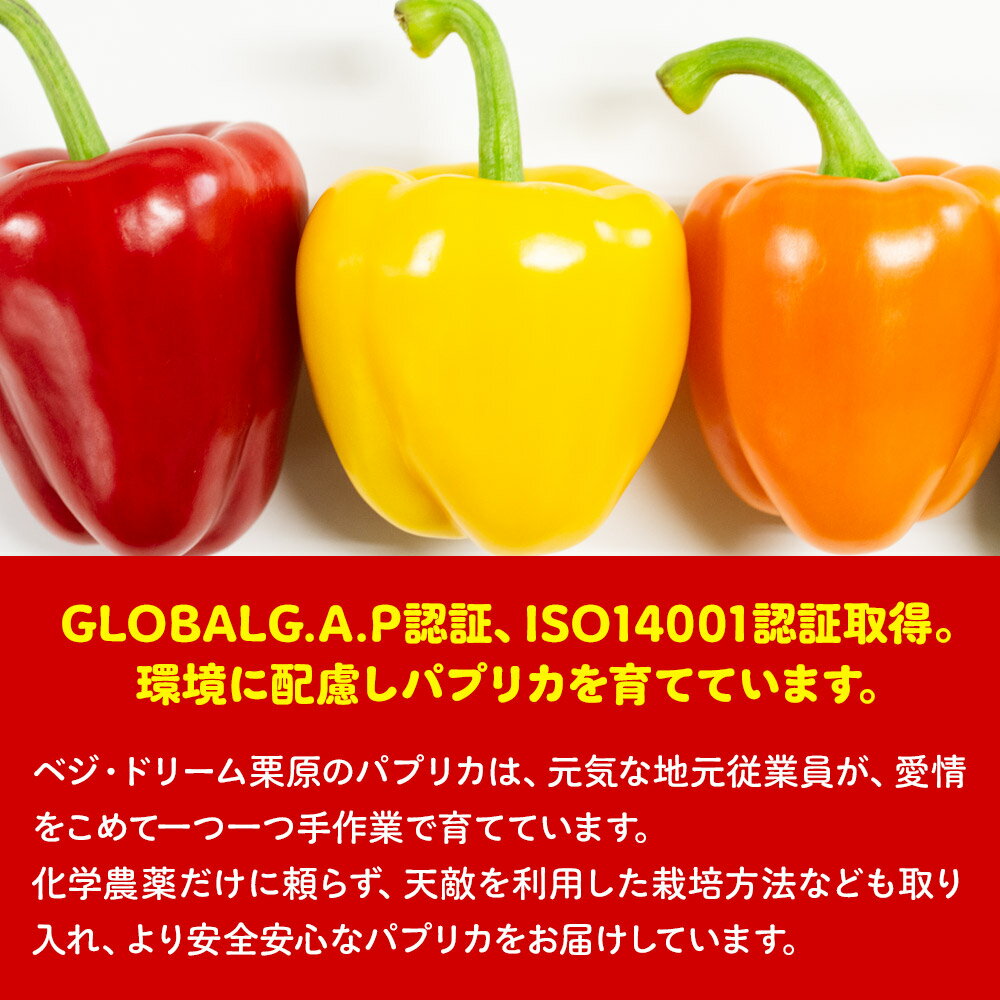 【ふるさと納税】【新鮮・安全・安心　宮城県産パプリカ】3色MIX（赤黄橙）25玉詰め - 画像2