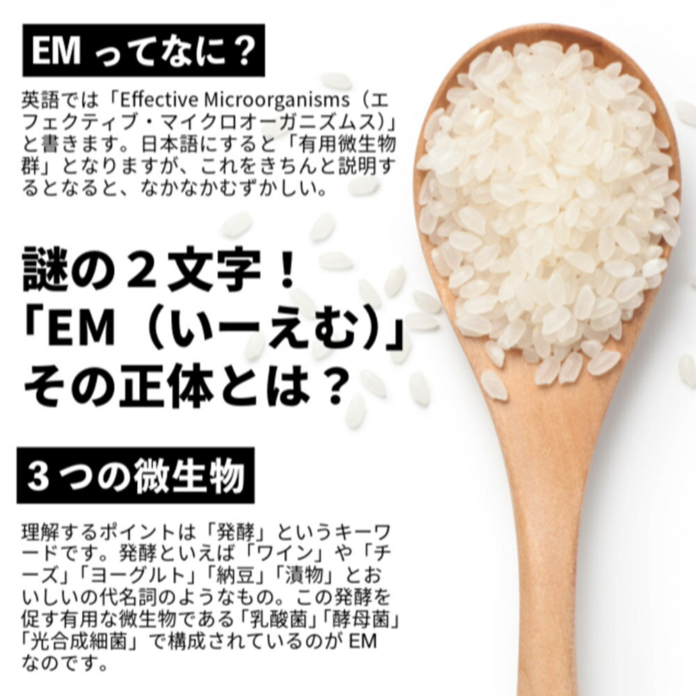 【ふるさと納税】【EM栽培米・白米】宮城県栗原市産 つや姫 2kg - 画像3