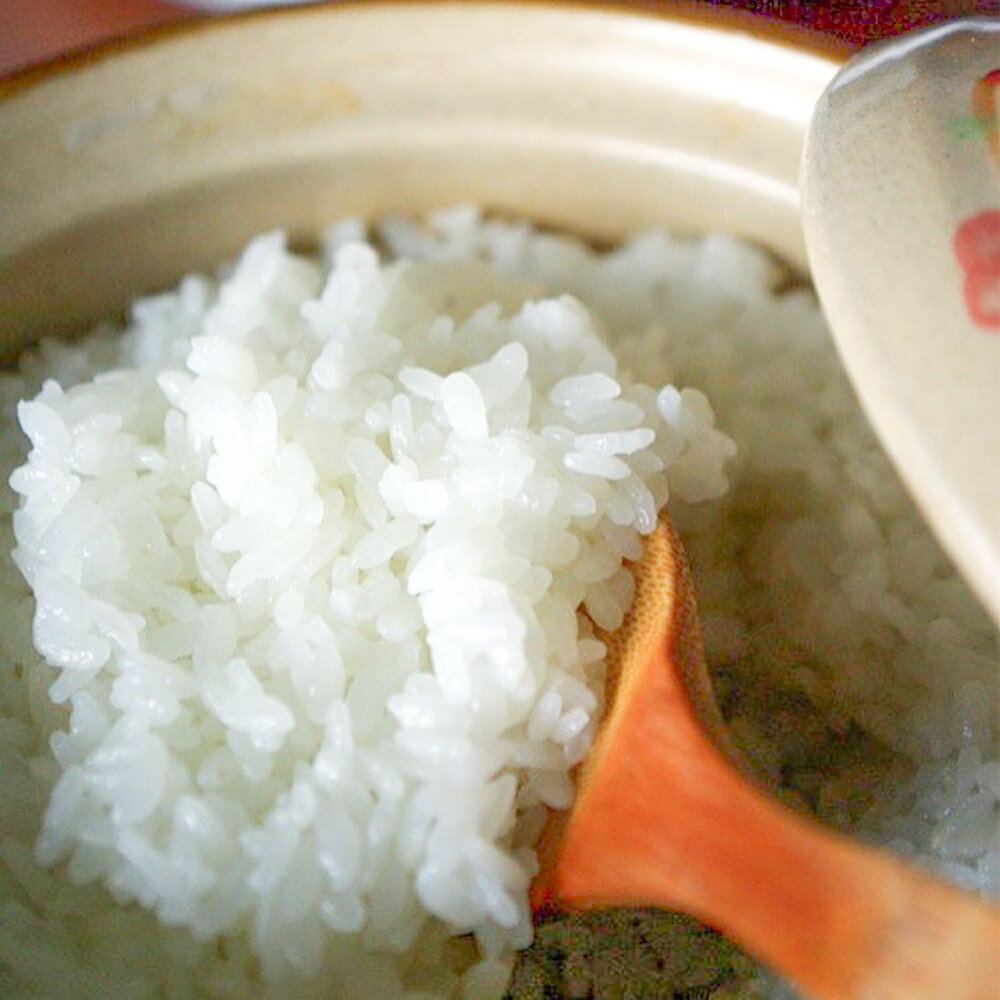 【ふるさと納税】《令和7年産》【白米】栗原市産 だて正夢 【選べる容量5kg／10kg／20kg】 精米 ブランド米 黒澤農産 宮城県 栗原市 - 画像3