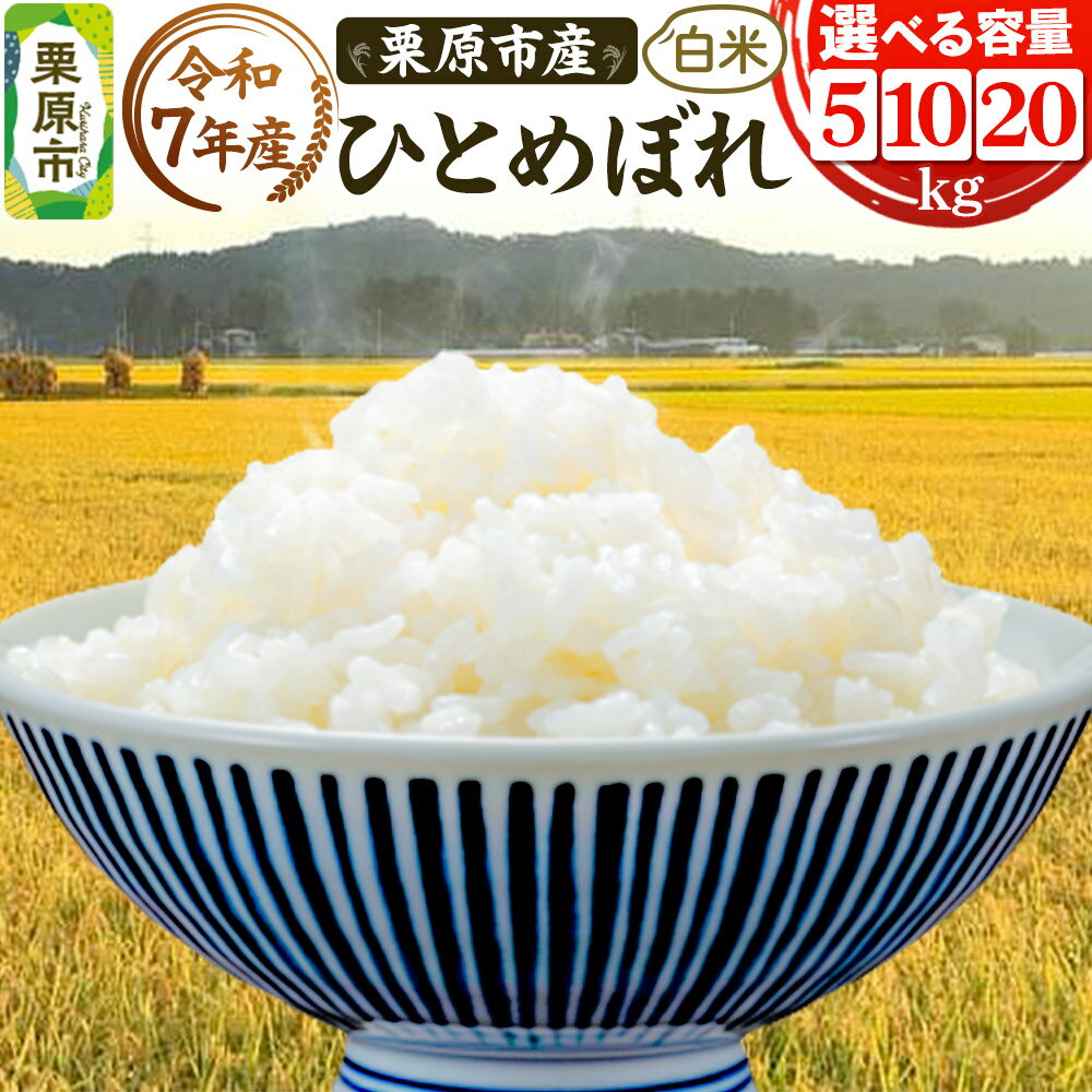 《令和7年産》【白米】栗原市産 ひとめぼれ 【選べる容量5kg／10kg／20kg】 精米 ブランド米 黒澤農産 宮城県 栗原市