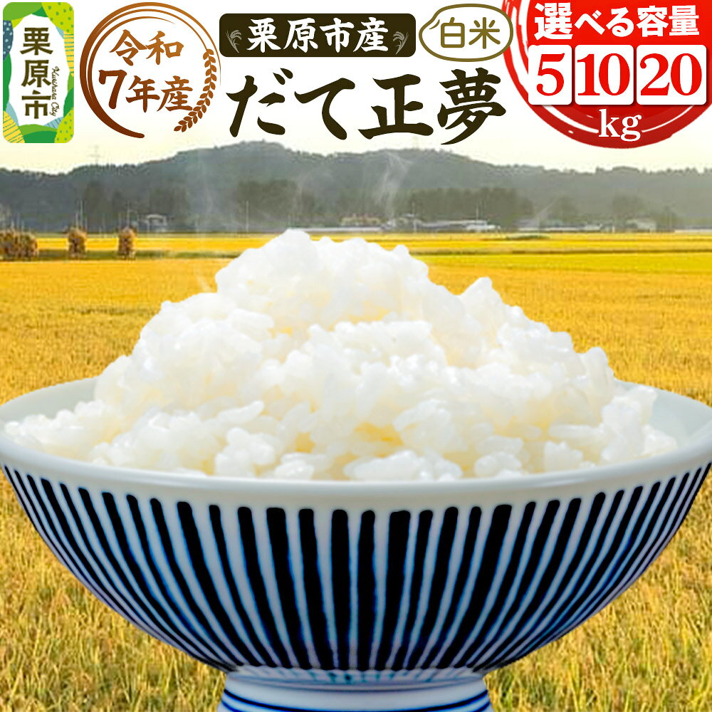 《令和7年産》【白米】栗原市産 だて正夢 【選べる容量5kg／10kg／20kg】 精米 ブランド米 黒澤農産 宮城県 栗原市